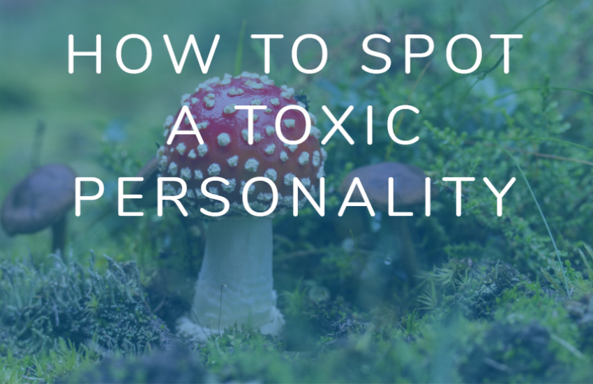 How to spot a toxic personality with red and white spotted mushroom in background