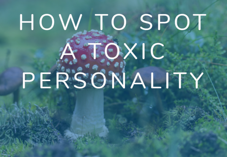 How to spot a toxic personality with red and white spotted mushroom in background